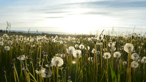 Bible Verses about Stress