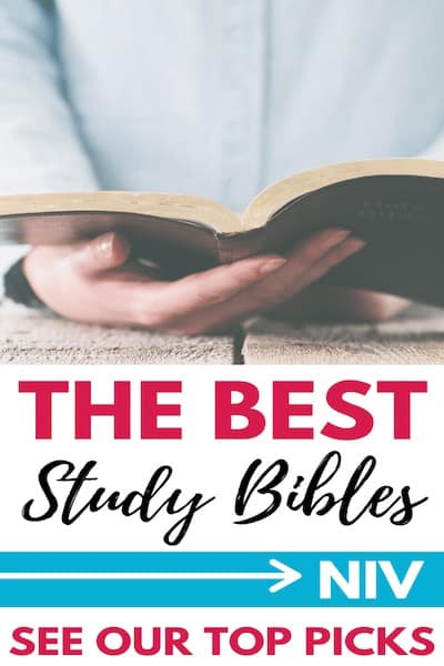 NIV Study BIble