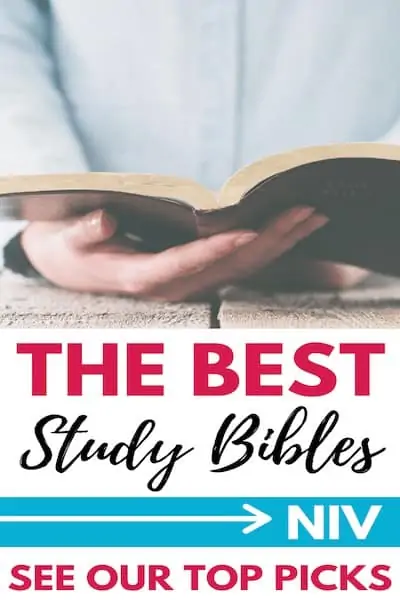 The Best NIV Study Bible | See Our Top Picks