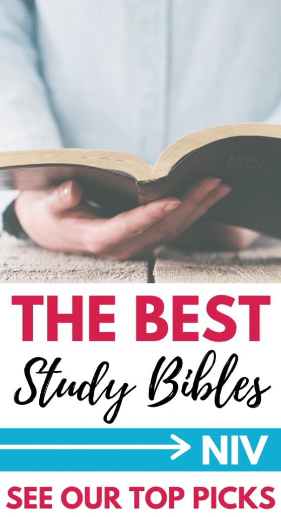 the-best-niv-study-bible-see-our-top-picks