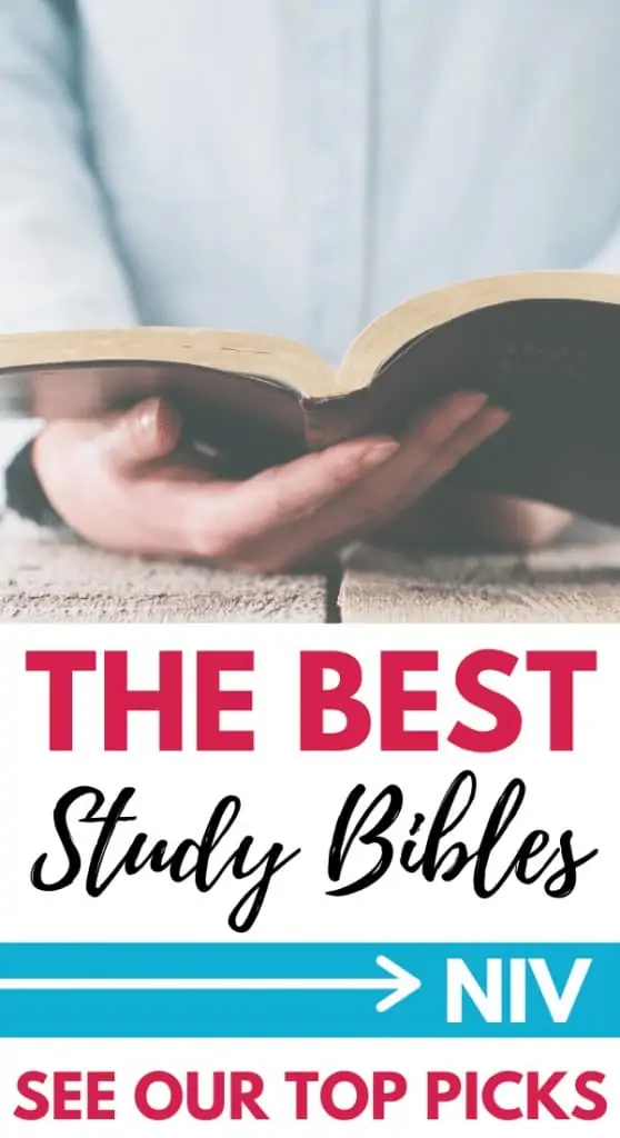 NIV Study Bible