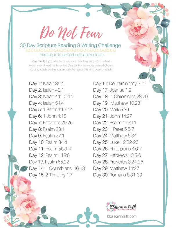 Daily BIble Reading Plan 