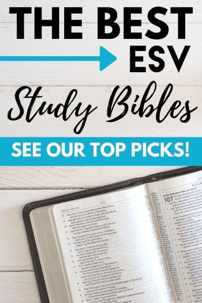 The Best Esv Study Bible See Our Top Picks