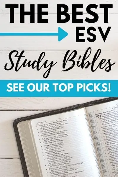 The Best 3 ESV Study Bible | See Our Top Picks