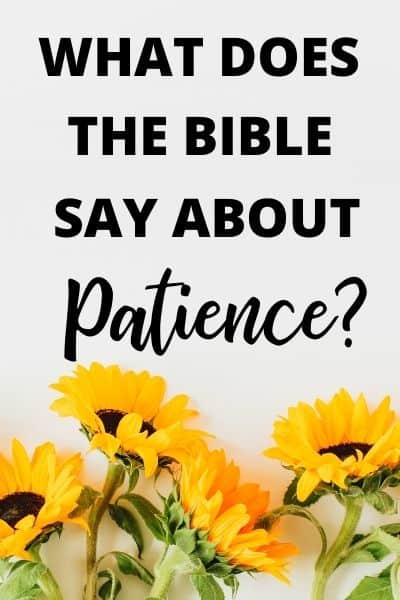 What Does the Bible Say about Patience?