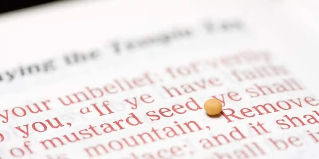 Faith of a mustard seed meaning