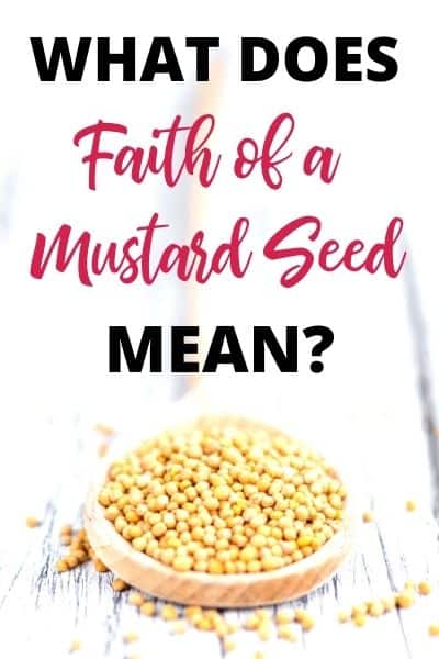 What Does Faith of a Mustard Seed Mean?
