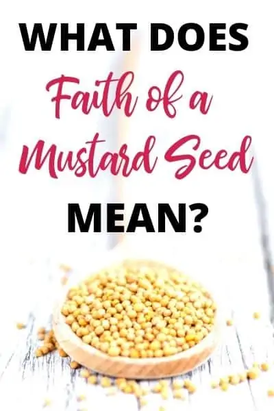 faith of a mustard seed