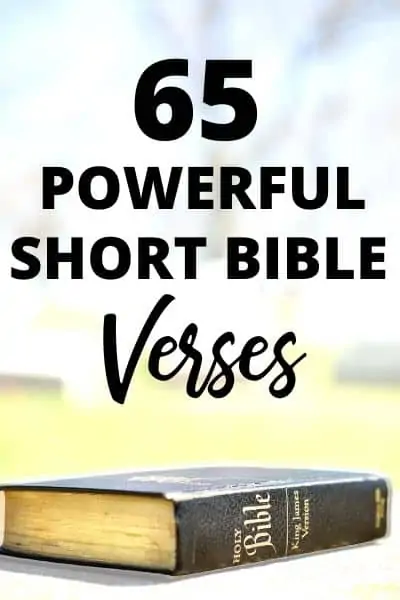 65 Short Bible Verses That Will Inspire and Equip You
