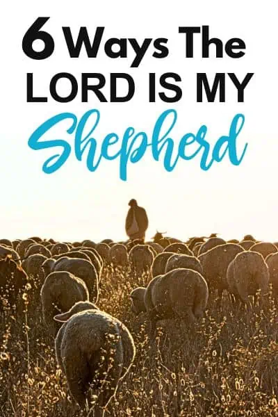 6 Ways the Lord is My Shepherd